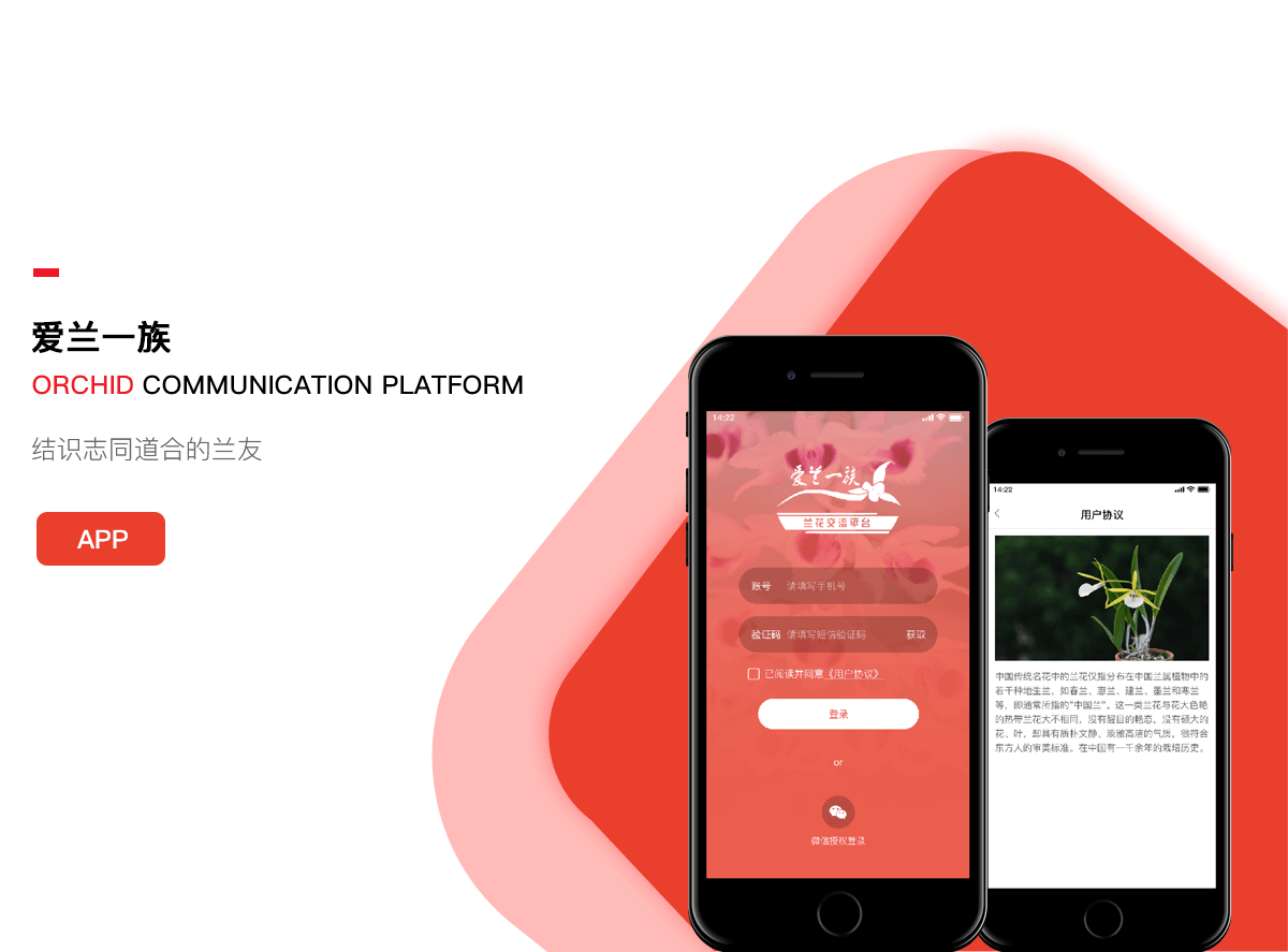 武汉交流app开发