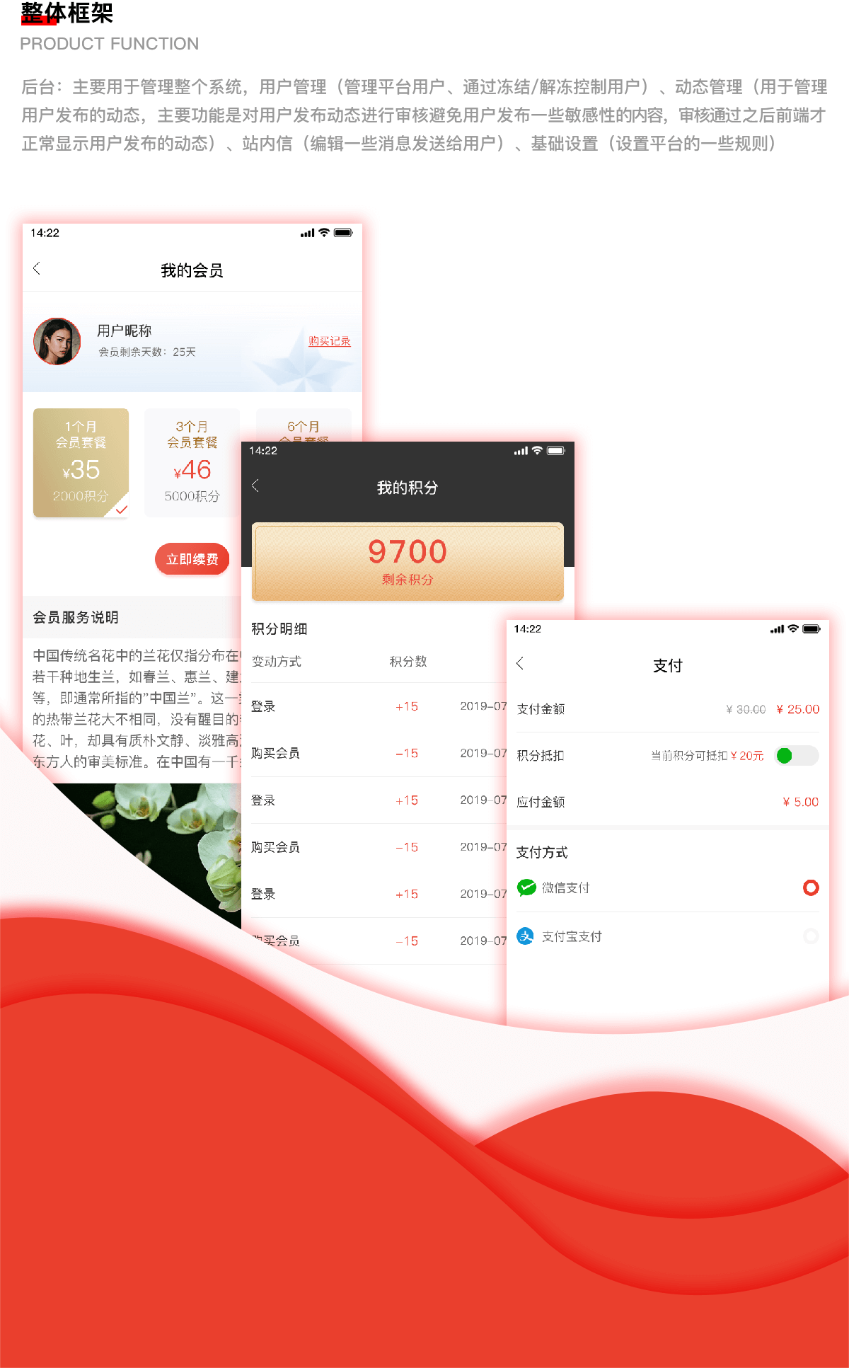 武汉社交app开发